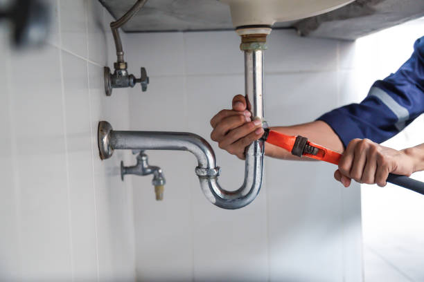 Best Local Plumber Services  in East Hills, NY
